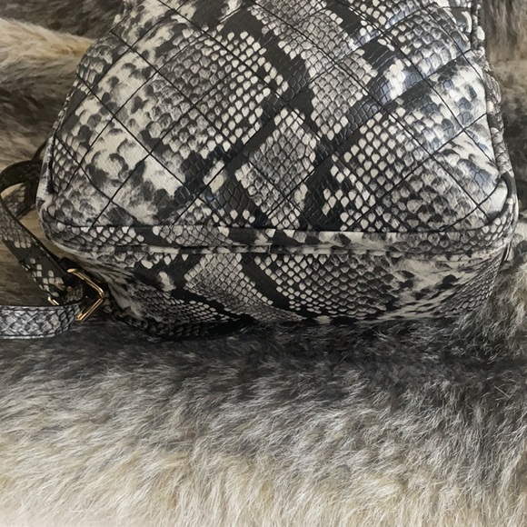 Aldo Snake printed Backpack - Picture 6 of 11